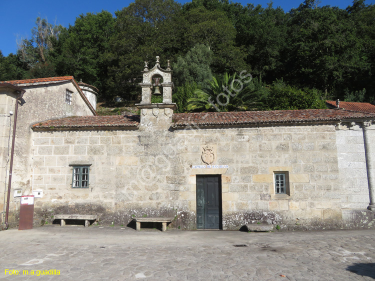 PONTE MACEIRA (106)