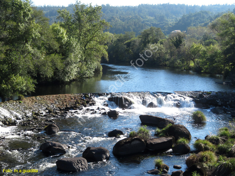 PONTE MACEIRA (110)