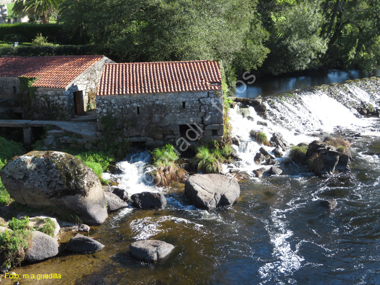 PONTE MACEIRA (111)