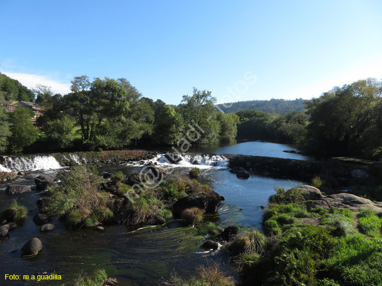 PONTE MACEIRA (114)