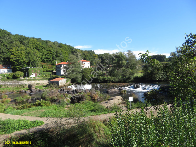 PONTE MACEIRA (116)