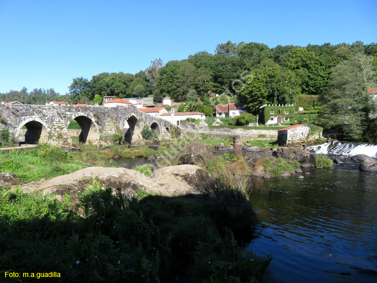 PONTE MACEIRA (117)