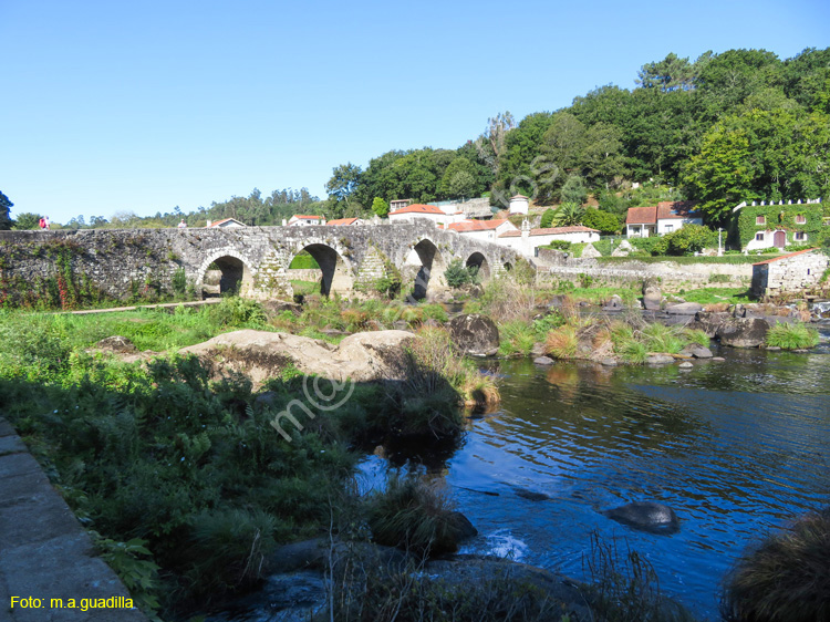 PONTE MACEIRA (120)