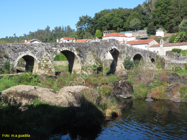 PONTE MACEIRA (122)