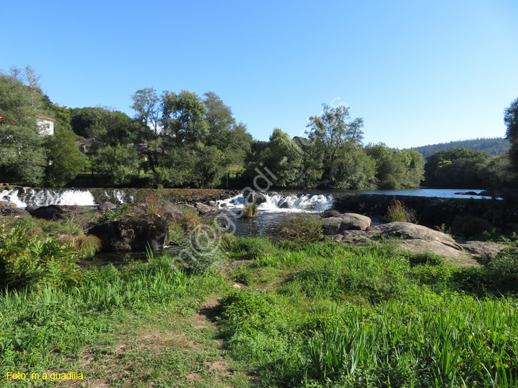 PONTE MACEIRA (124)