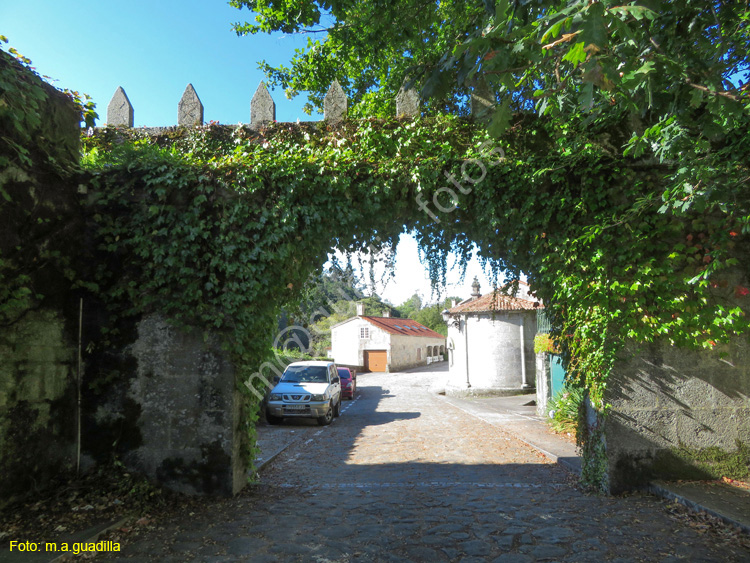 PONTE MACEIRA (128)