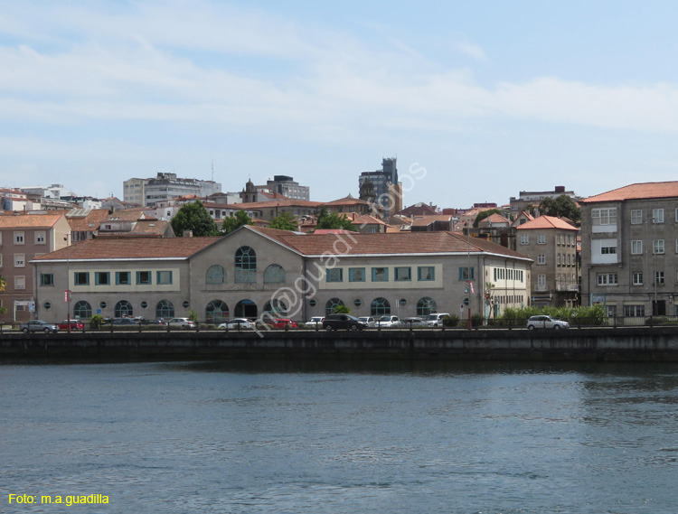 PONTEVEDRA (295) Mercado