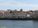 PONTEVEDRA (295) Mercado