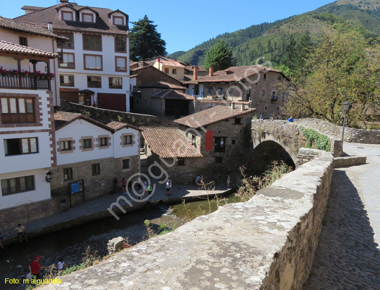 POTES (115)