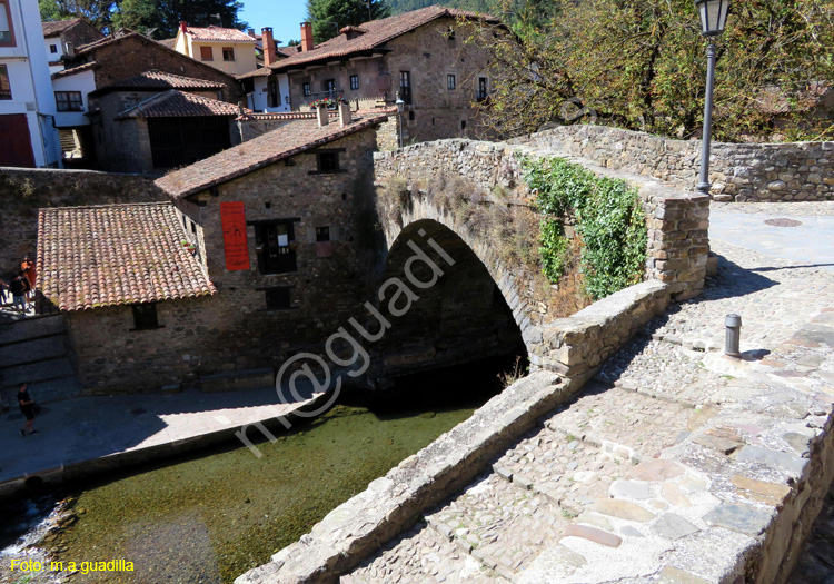 POTES (116)