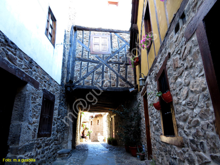 POTES (133)