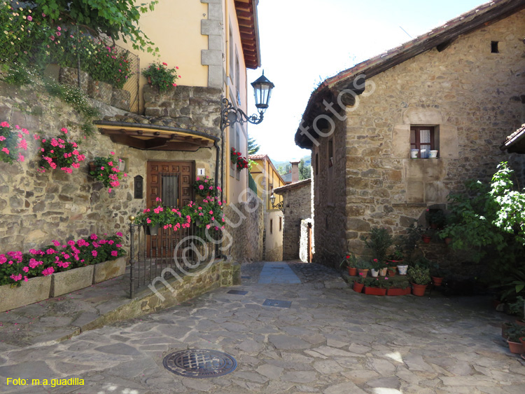 POTES (135)