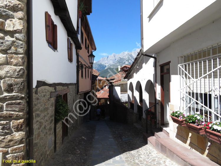 POTES (137)