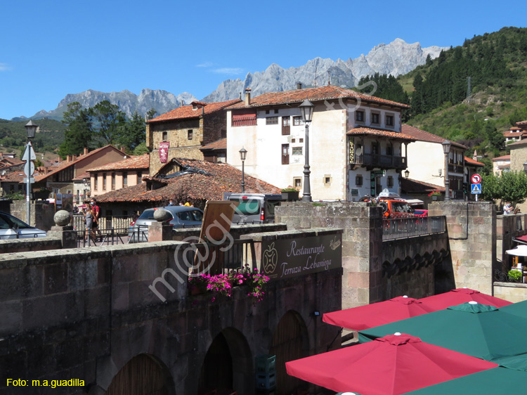 POTES (147)