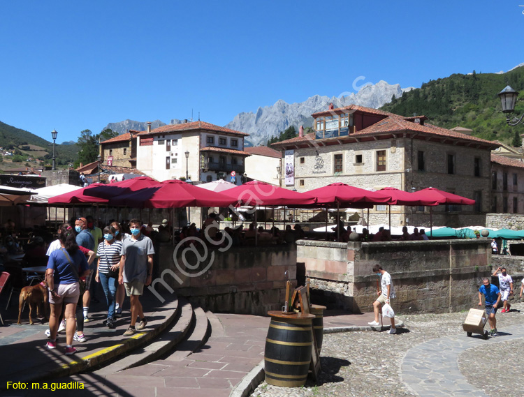 POTES (152)