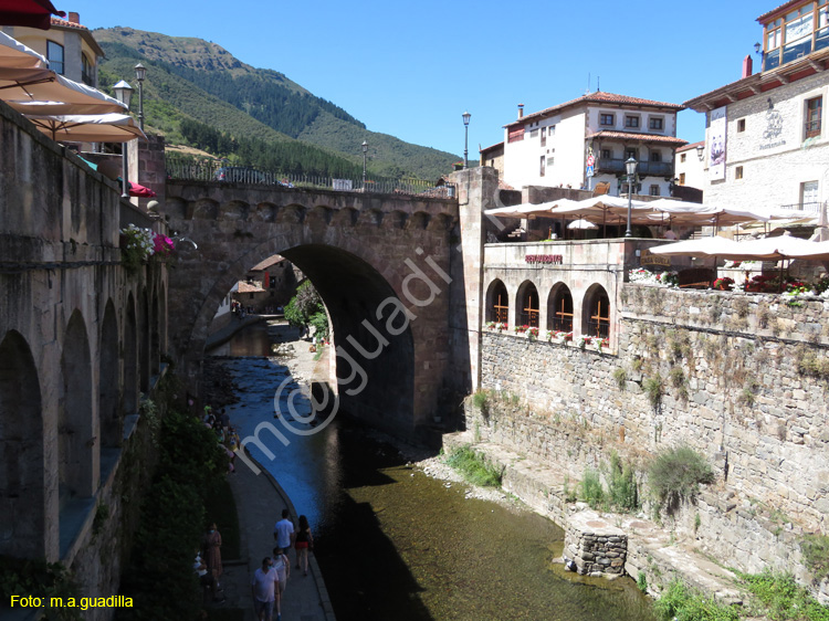 POTES (153)