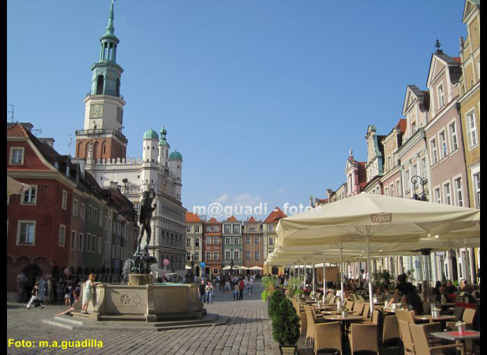 POZNAN (157)