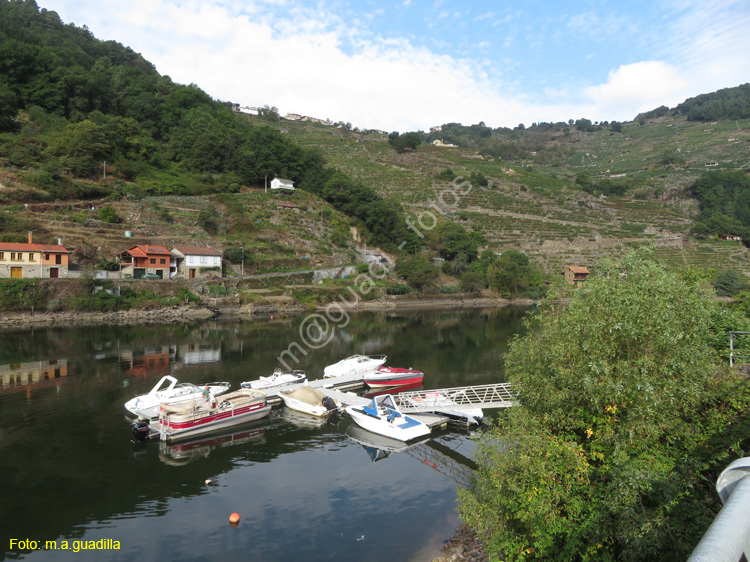 RIBEIRA SACRA (101) BELESAR