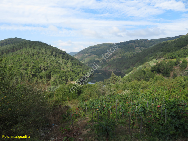 RIBEIRA SACRA (120) O SAVIÑAO - MIRADOR CABO DO MUNDO