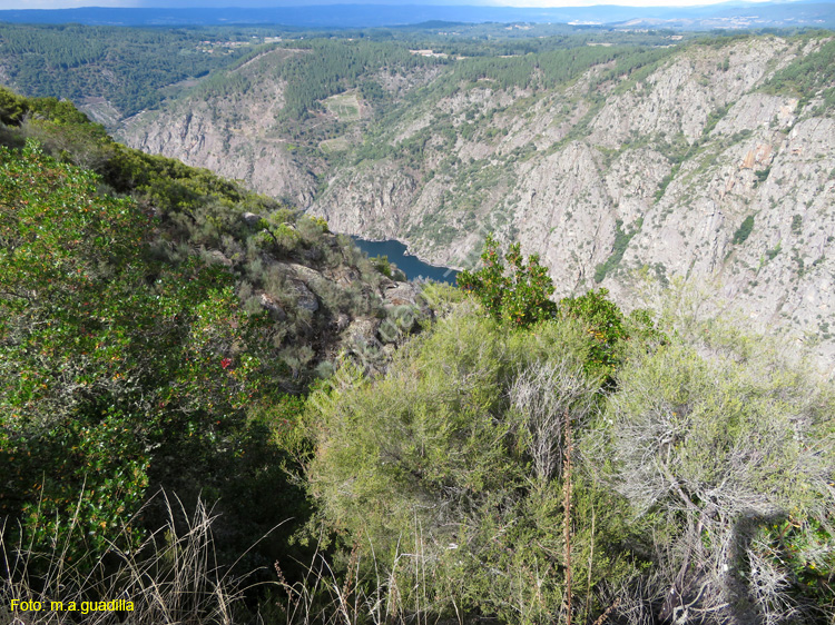 RIBEIRA SACRA (160) PARADA DE SIL - MIRADOR BALCONES DE MADRID