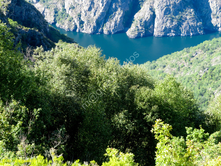 RIBEIRA SACRA (177) PARADA DE SIL - MIRADOR DE CABEZOA