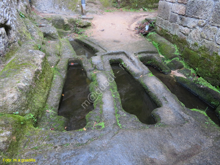 RIBEIRA SACRA (217) ESGOS - MONASTERIO DE SAN PEDRO DE ROCAS