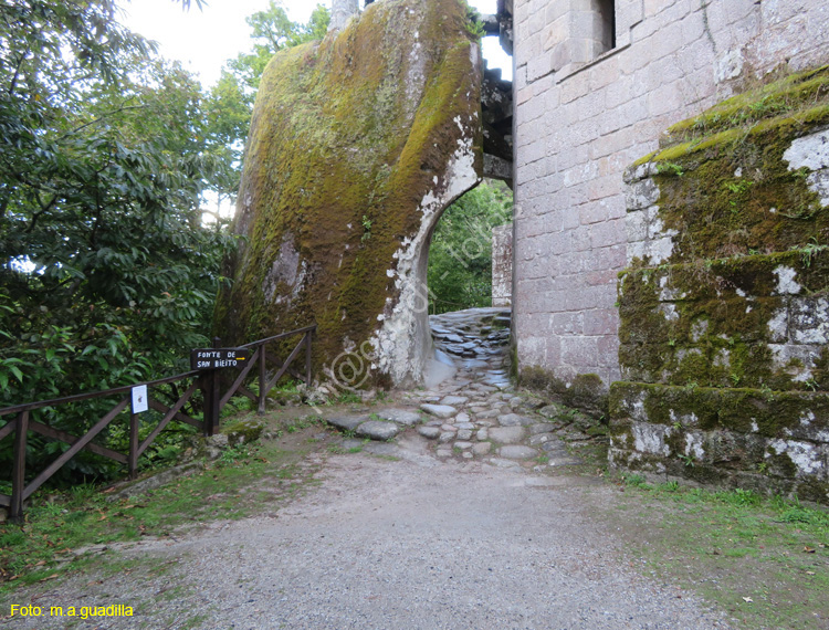 RIBEIRA SACRA (223) ESGOS - MONASTERIO DE SAN PEDRO DE ROCAS