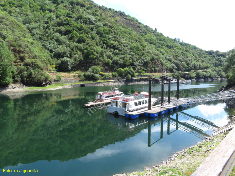 RIBEIRA SACRA (317) Catamaran Doade