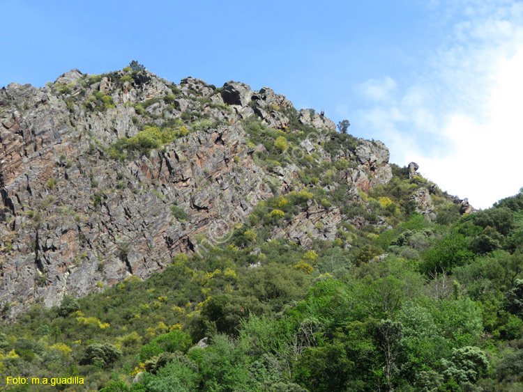 RIBEIRA SACRA (323) Catamaran Doade