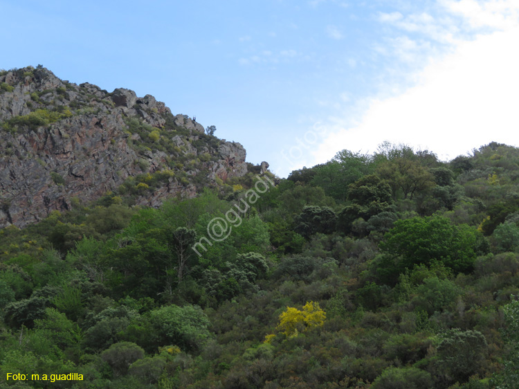 RIBEIRA SACRA (324) Catamaran Doade