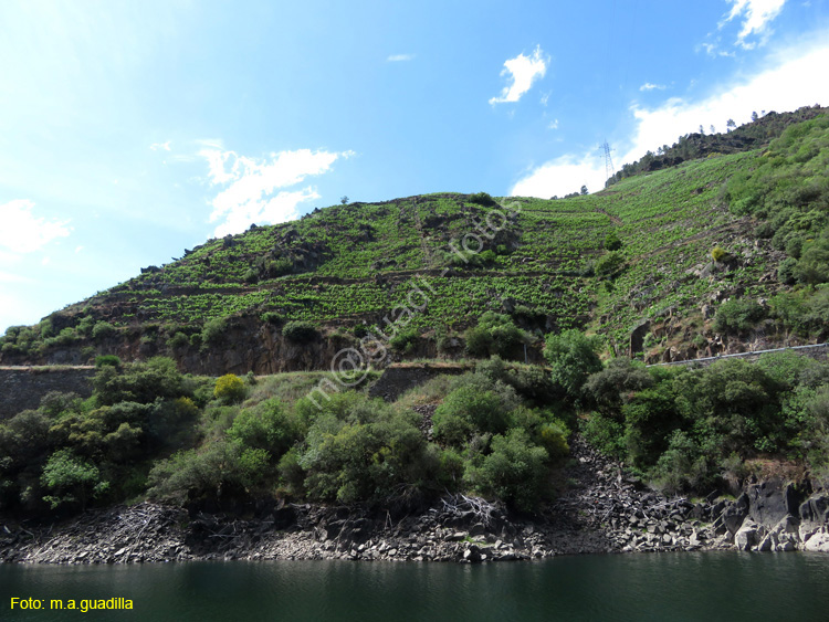 RIBEIRA SACRA (325) Catamaran Doade