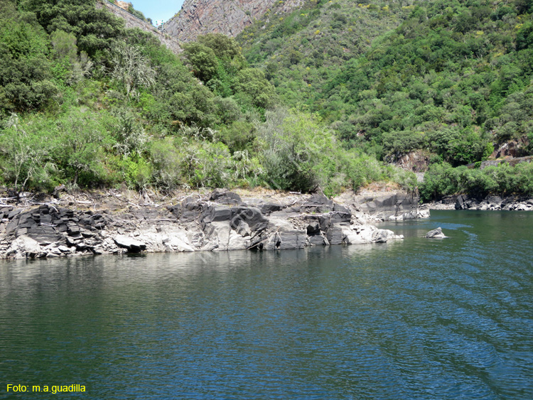 RIBEIRA SACRA (328) Catamaran Doade