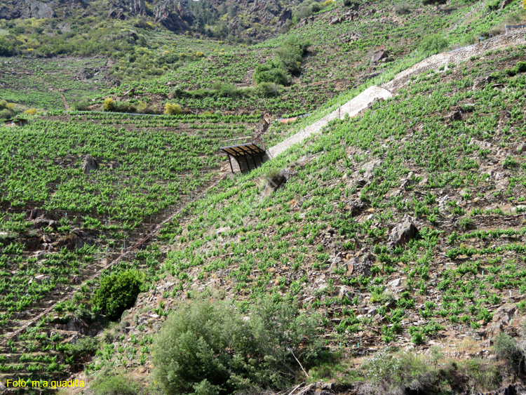 RIBEIRA SACRA (329) Catamaran Doade