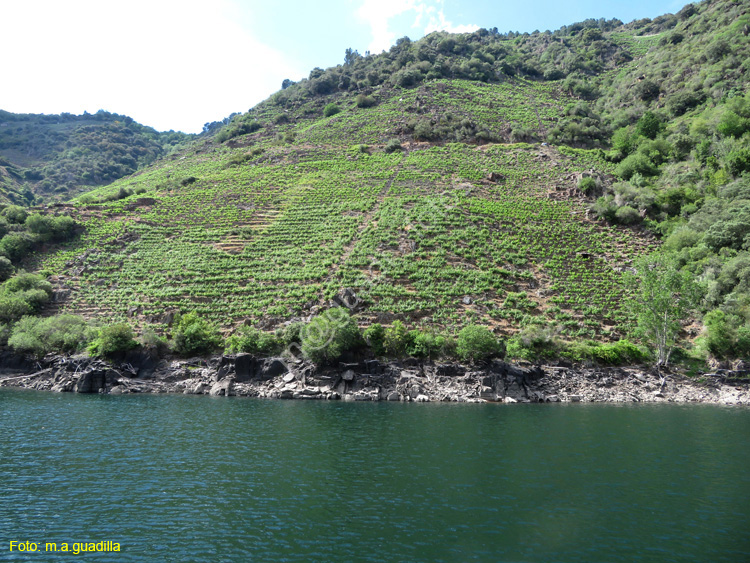 RIBEIRA SACRA (339) Catamaran Doade