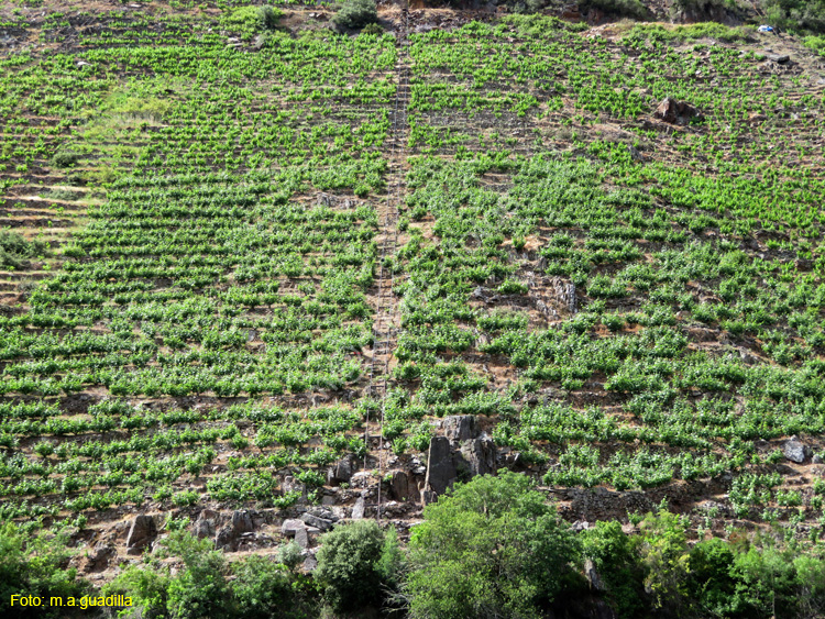 RIBEIRA SACRA (340) Catamaran Doade