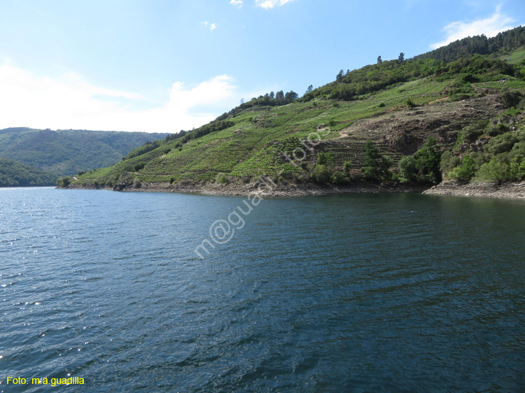 RIBEIRA SACRA (349) Catamaran Doade