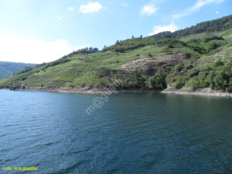 RIBEIRA SACRA (350) Catamaran Doade