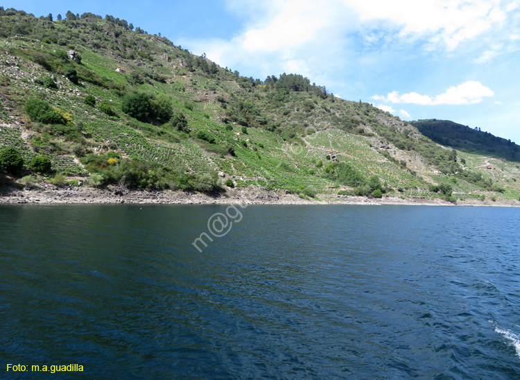 RIBEIRA SACRA (351) Catamaran Doade