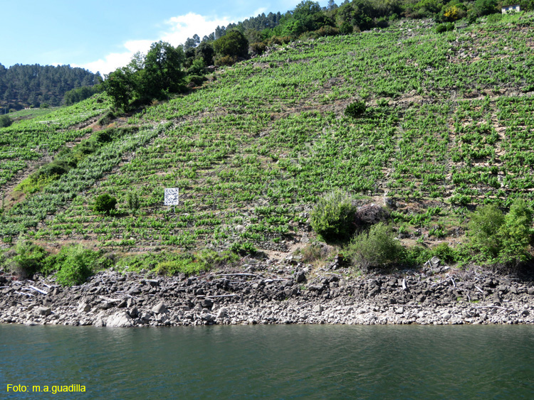 RIBEIRA SACRA (353) Catamaran Doade