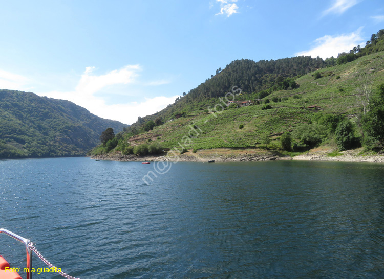 RIBEIRA SACRA (354) Catamaran Doade