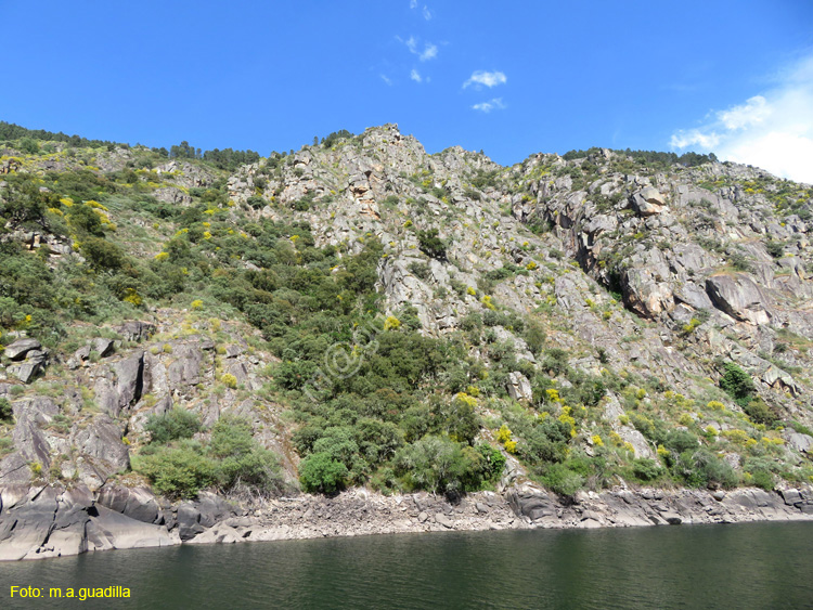 RIBEIRA SACRA (378) Catamaran Doade