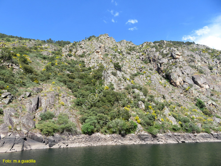 RIBEIRA SACRA (378) Catamaran Doade