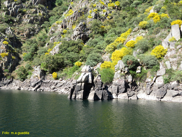 RIBEIRA SACRA (379) Catamaran Doade