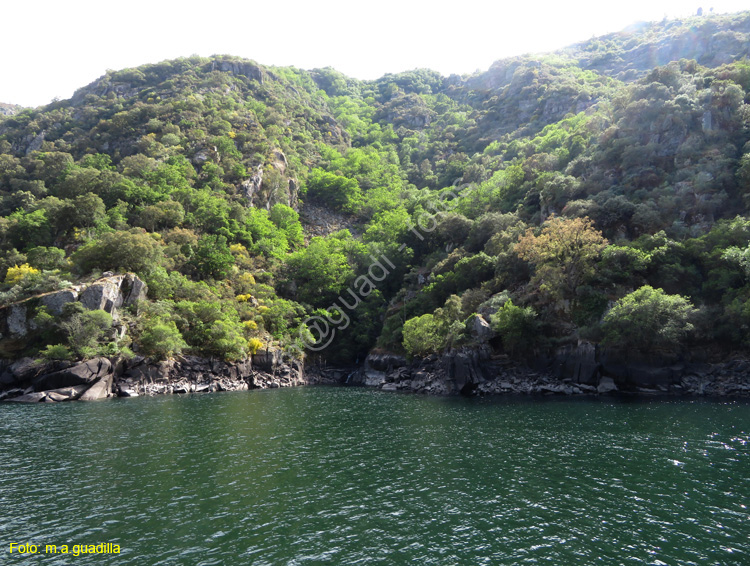 RIBEIRA SACRA (388) Catamaran Doade