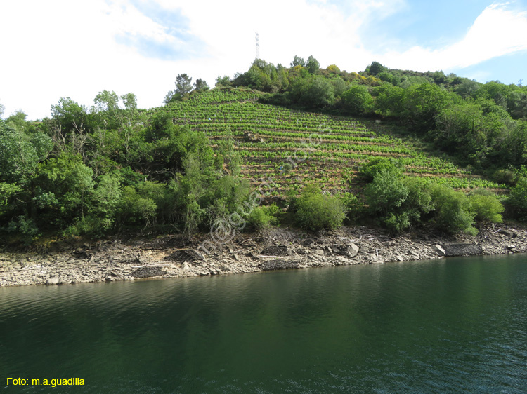 RIBEIRA SACRA (391) Catamaran Doade