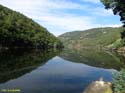 RIBEIRA SACRA (114) PLAYA FLUVIAL DE A COVA