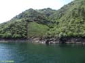 RIBEIRA SACRA (338) Catamaran Doade