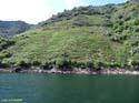 RIBEIRA SACRA (339) Catamaran Doade