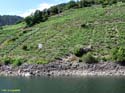 RIBEIRA SACRA (353) Catamaran Doade