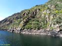 RIBEIRA SACRA (356) Catamaran Doade